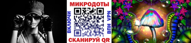 mega вход Кологрив Псилоцибиновые грибы Psilocybe