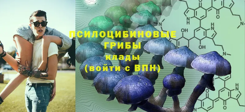 Галлюциногенные грибы MAGIC MUSHROOMS  Кологрив 