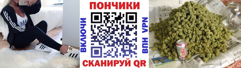 Конопля сатива  Кологрив 